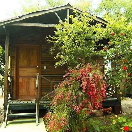 Merhaba Bungalow Hotel Beykonak Bilik gambar